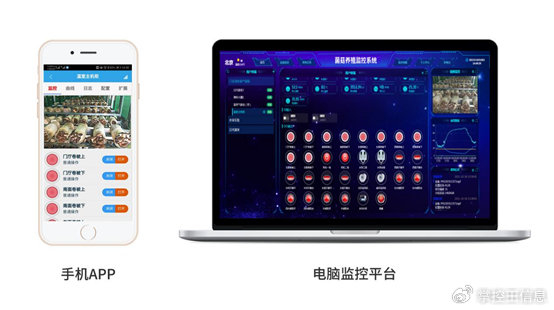 智慧農業新篇章 菌菇智能溫室管理系統，開啟精準高效種植新時代