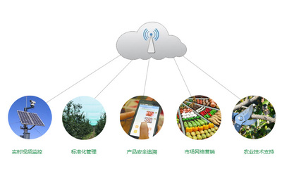智能農(nóng)業(yè)管理 項目概述與未來展望
